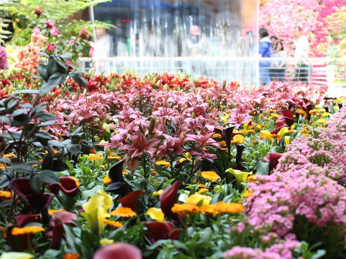 Howard Johnson Flower City Hotel Куньмин Экстерьер фото